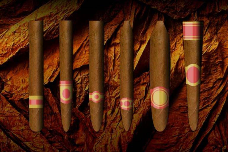 cigar types